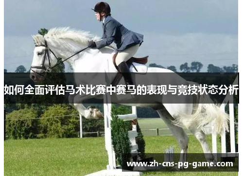 如何全面评估马术比赛中赛马的表现与竞技状态分析