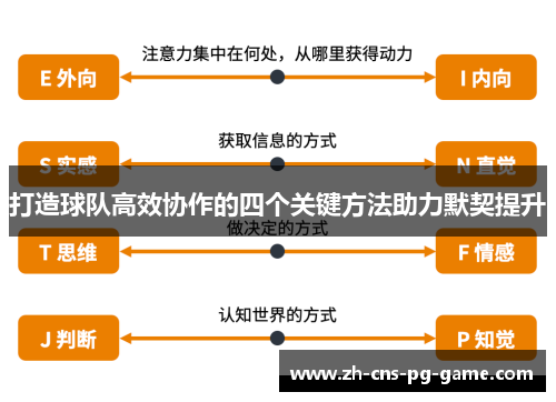 打造球队高效协作的四个关键方法助力默契提升