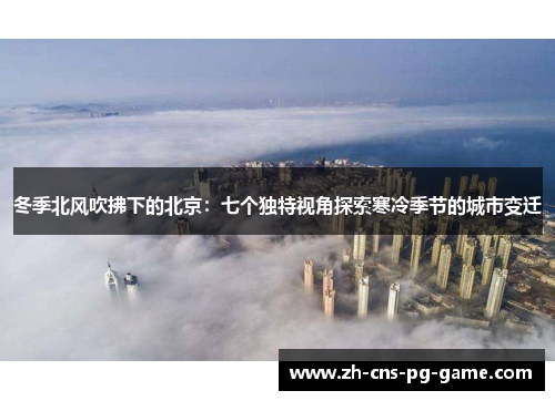 冬季北风吹拂下的北京：七个独特视角探索寒冷季节的城市变迁