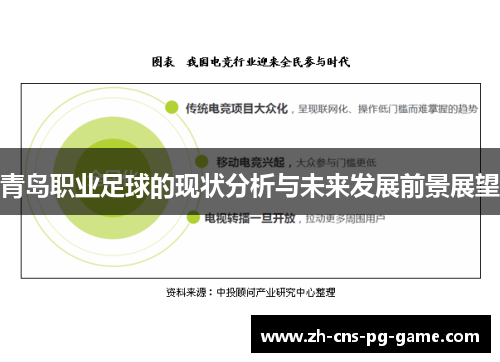 青岛职业足球的现状分析与未来发展前景展望