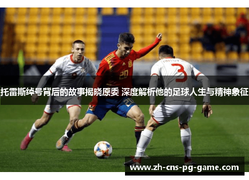 托雷斯绰号背后的故事揭晓原委 深度解析他的足球人生与精神象征